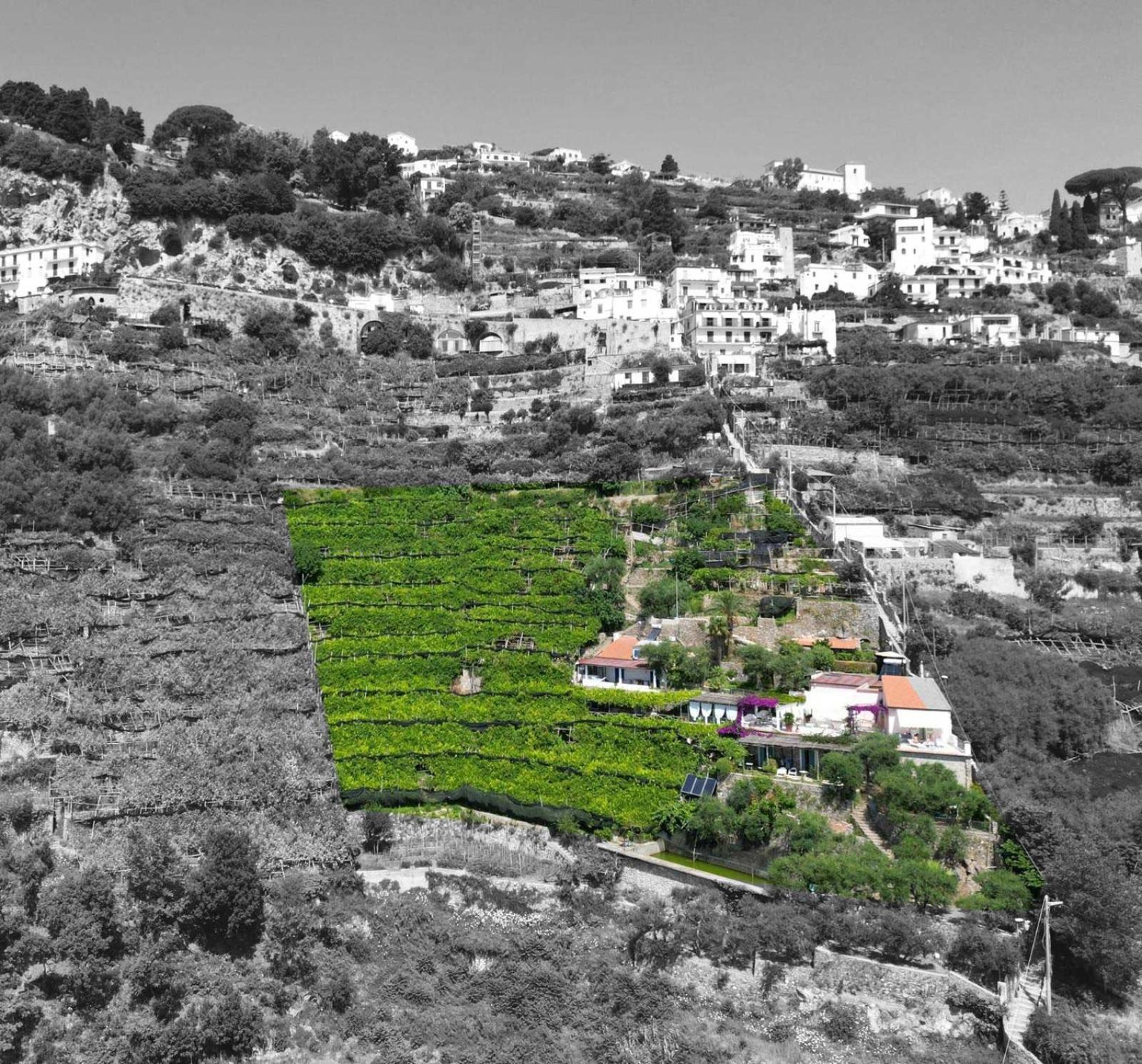 Suite I Limoni Ravello Bagian luar foto