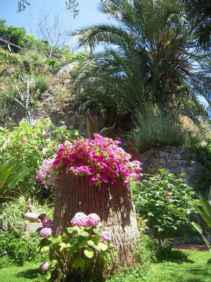 Suite I Limoni Ravello Bagian luar foto