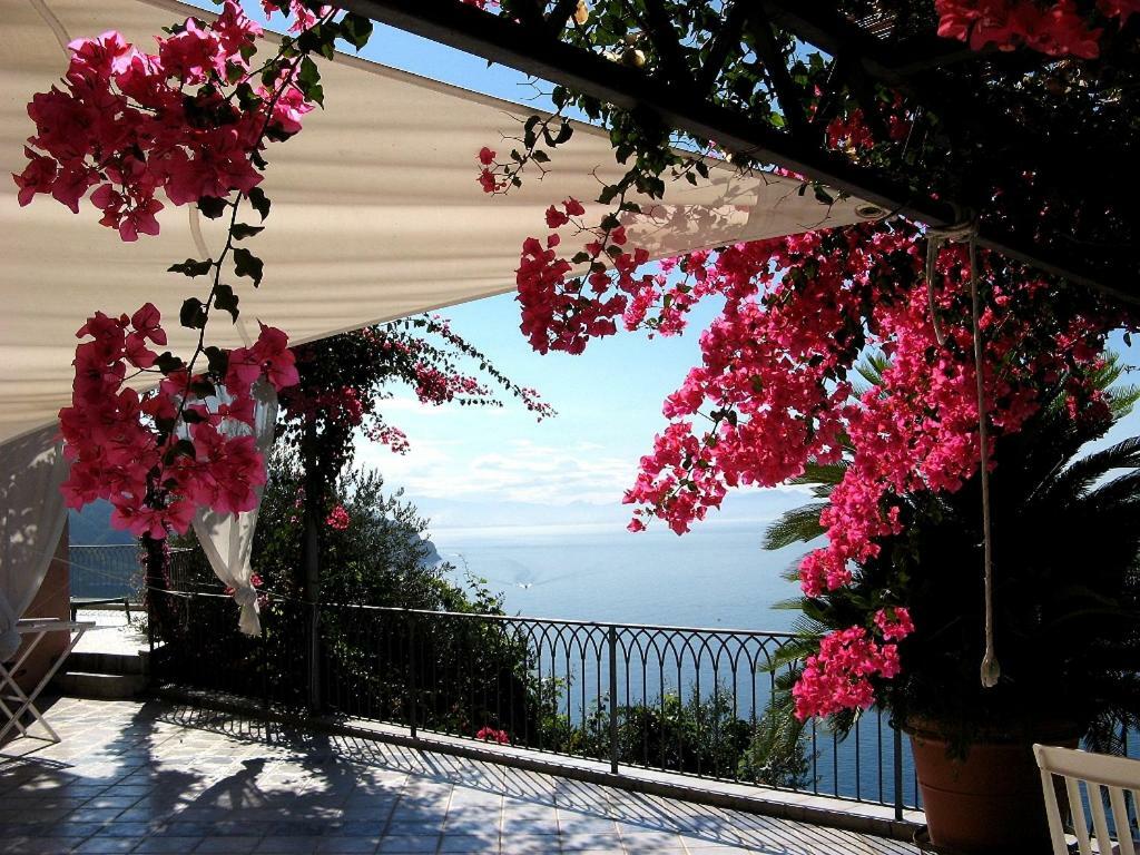 Suite I Limoni Ravello Bagian luar foto