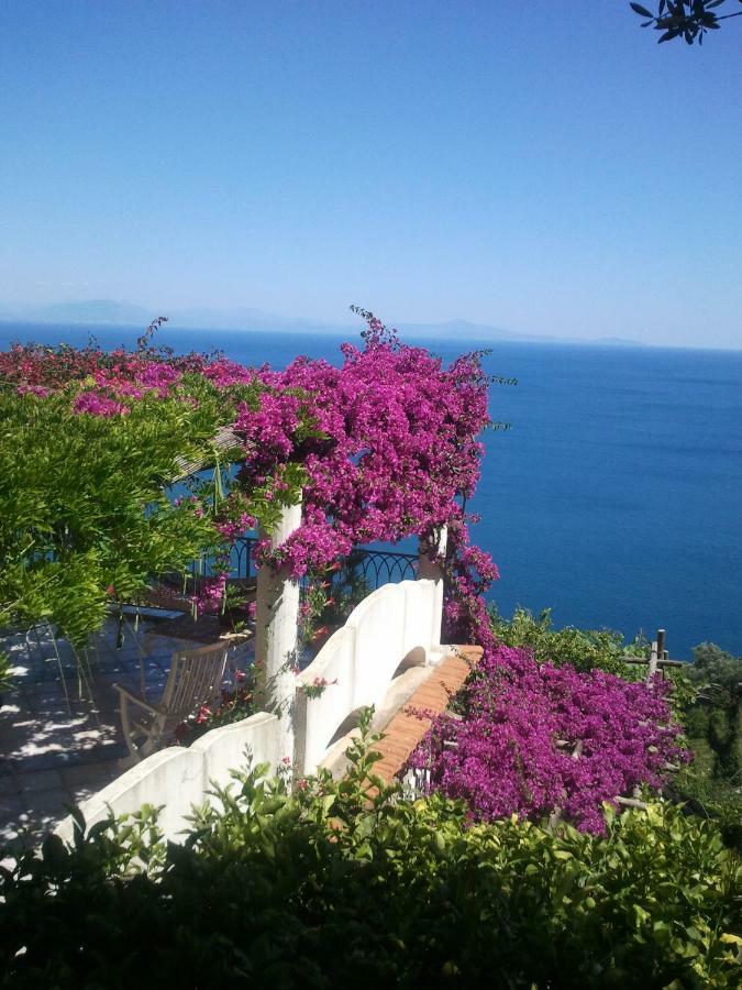 Suite I Limoni Ravello Bagian luar foto